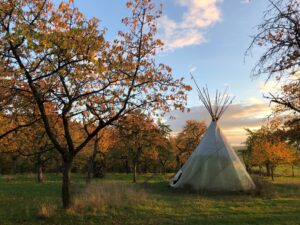 Tipi_Herbst_2022